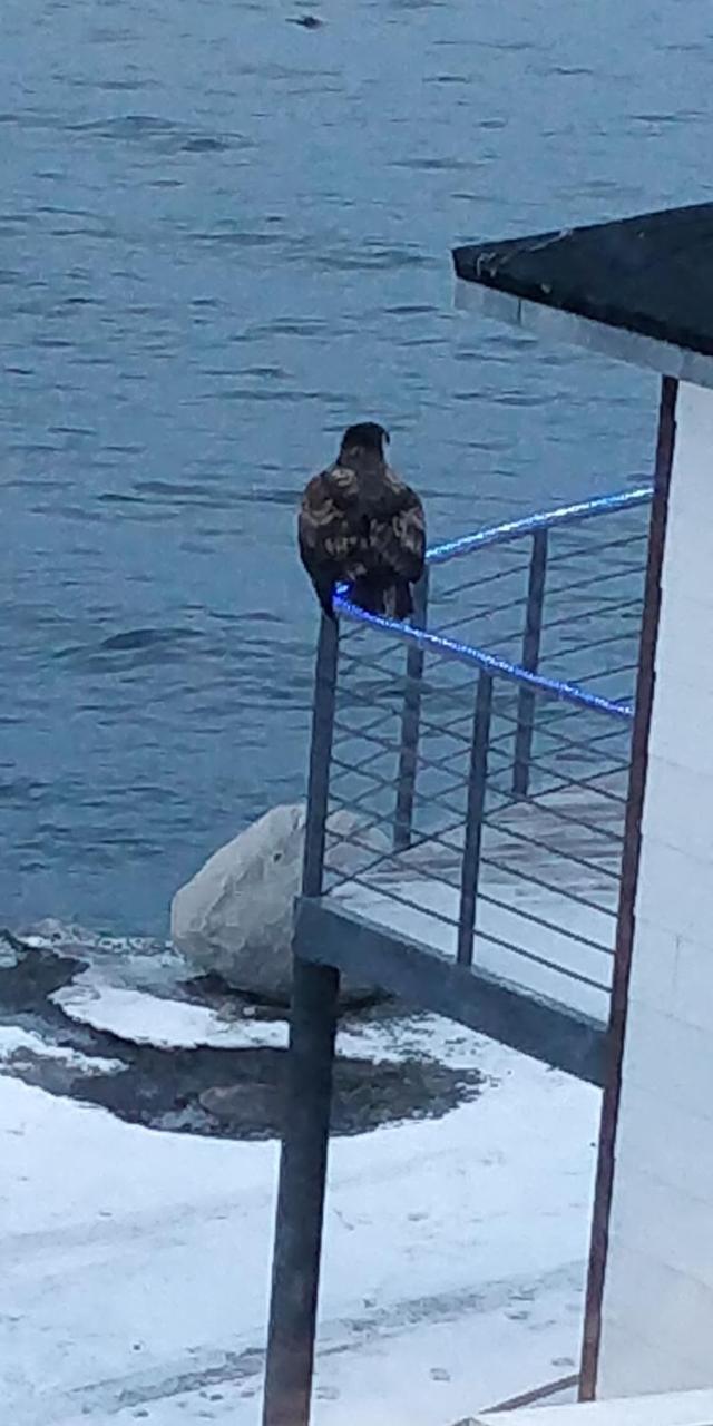Eagle View Hotel Nuuk Buitenkant foto