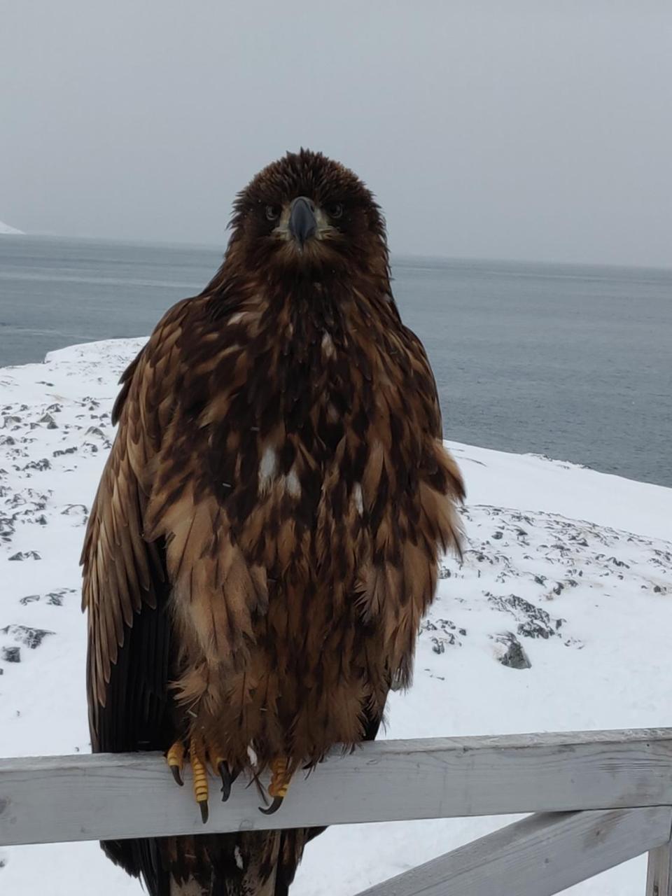 Eagle View Hotel Nuuk Buitenkant foto